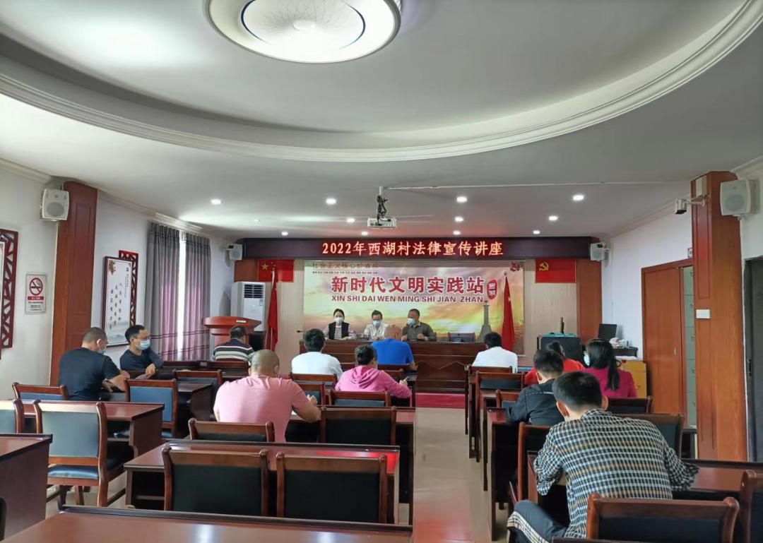 广东省村务监督委员会,广东省村务监督委员会的运作及其重要性