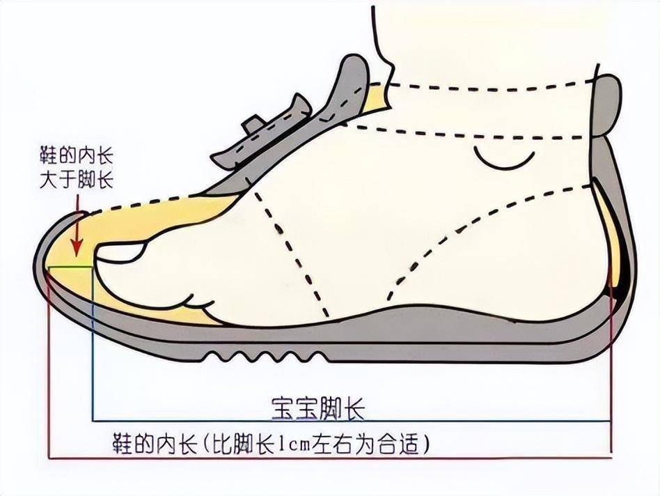六个月宝宝脚长度,六个月宝宝脚长度的成长与发展
