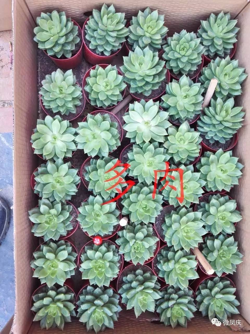 技术开发 第87页