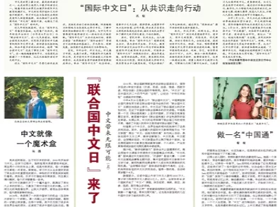 新奥天天免费资料大全|认真释义解释落实,新奥天天免费资料大全，释义解释与落实行动