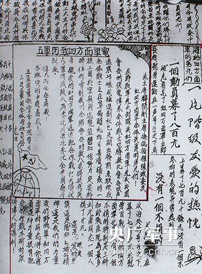 四肖期期准免费资料大全免|活动释义解释落实,四肖期期准免费资料背后的活动与犯罪问题探讨