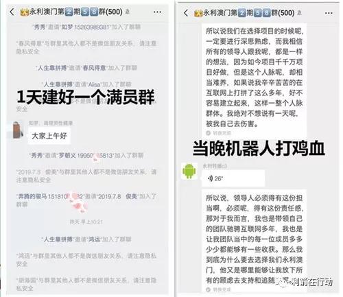 2024新澳资料免费大全|接见释义解释落实,探索未来，2024新澳资料免费大全与落实行动指南